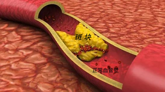 5e2eb1275eb836009078f1d0b9e7831e.png